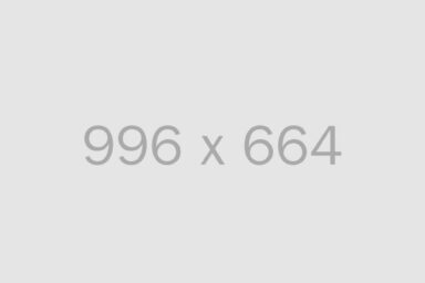 alt 996x664