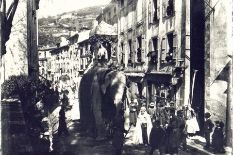 Carnaval à Foix