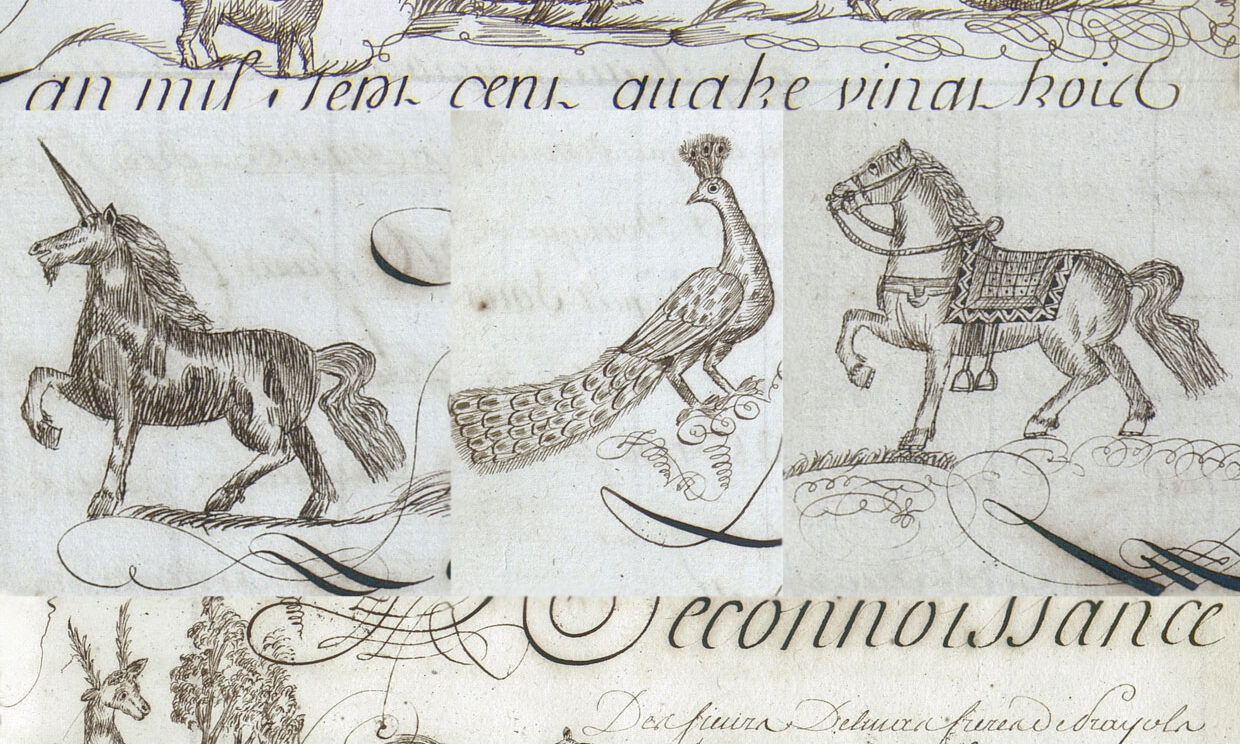 Illustration d'animaux présentent dans le registre de reconnaissances.