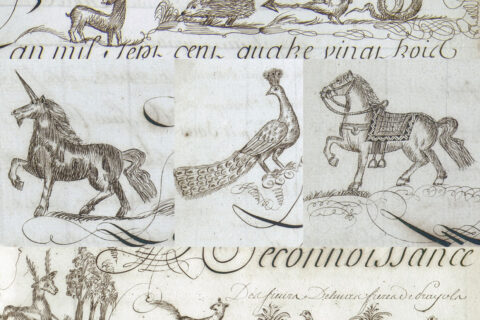 Illustration d'animaux présentent dans le registre de reconnaissances.